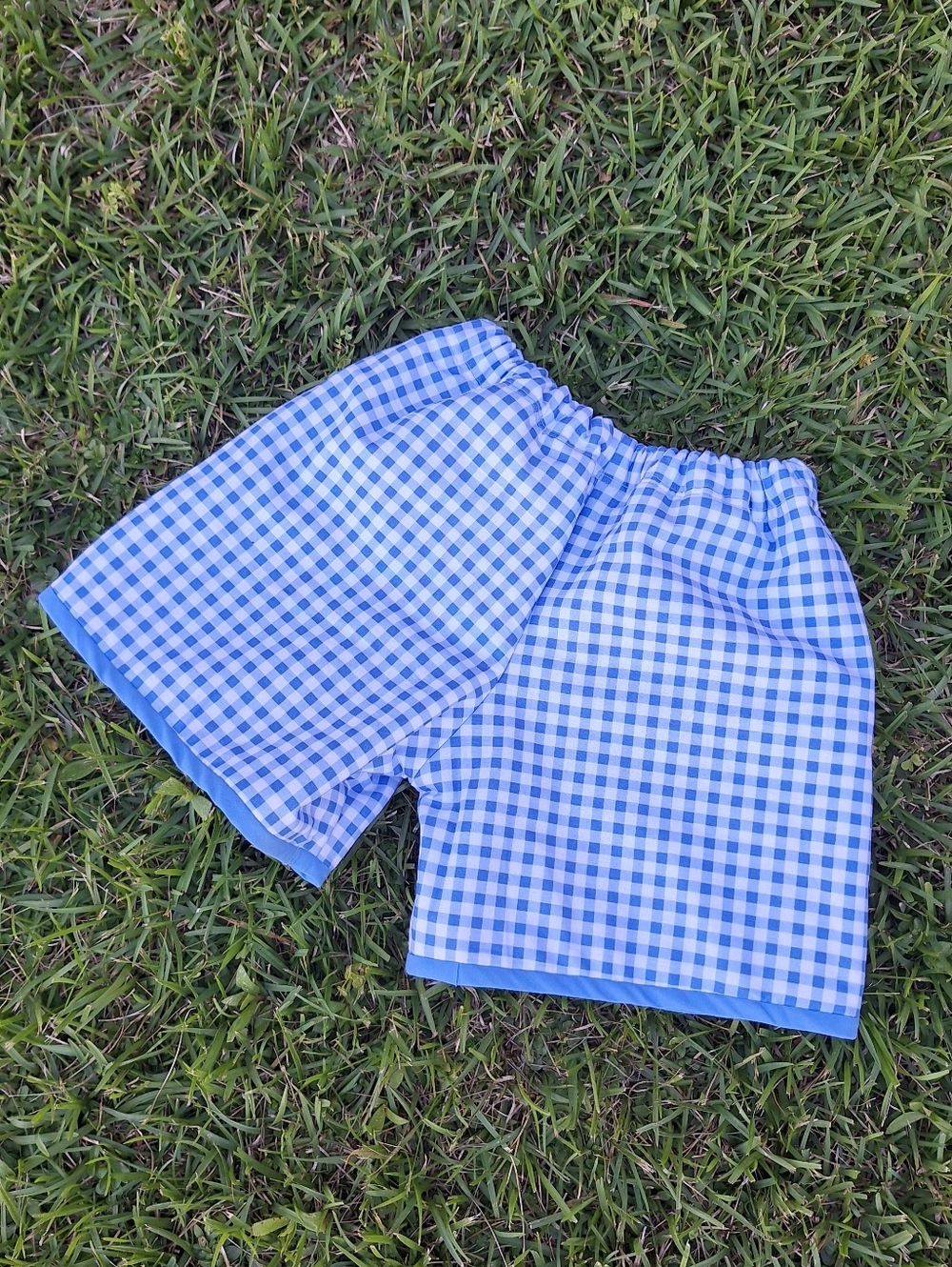 Summer Shorts - Blue Picnic